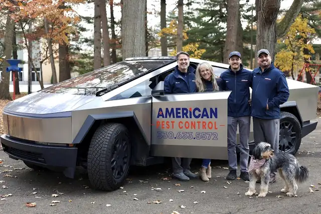 American Pest Control