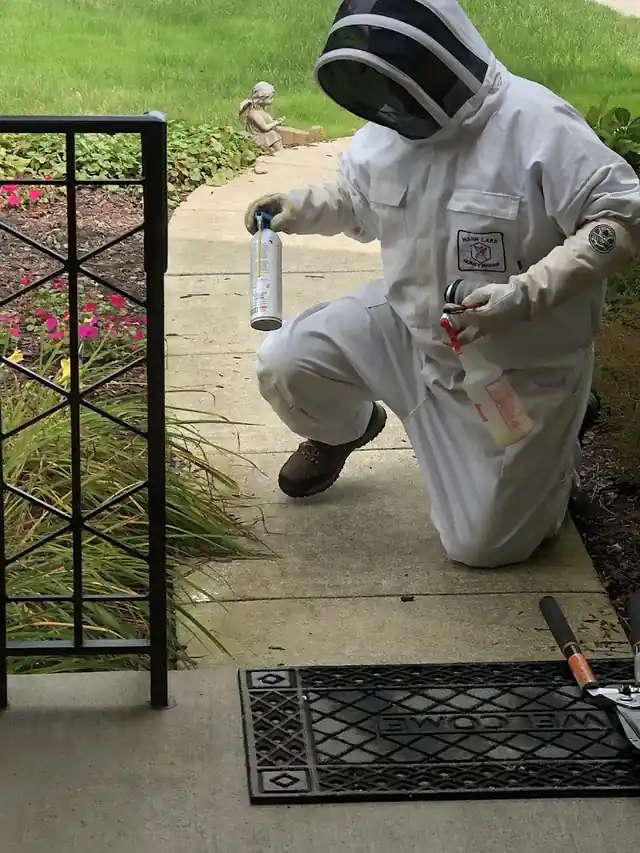 Absolute Pest Control