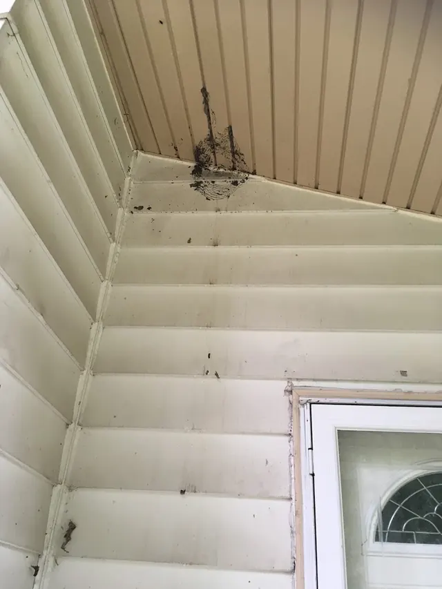 Bugbountyhuntersllc