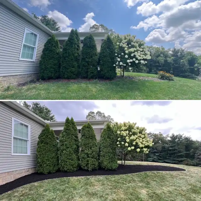 My Buckeye Lawn, LLC