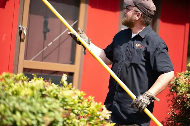 D-Bug Pest Control, Inc.