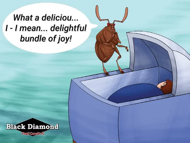 Black Diamond Pest Control