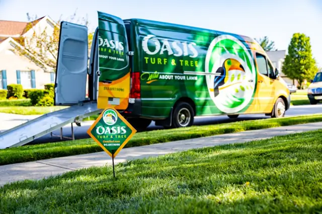 Oasis Turf & Tree