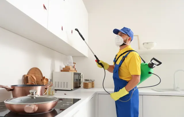 Aim Pest Solutions