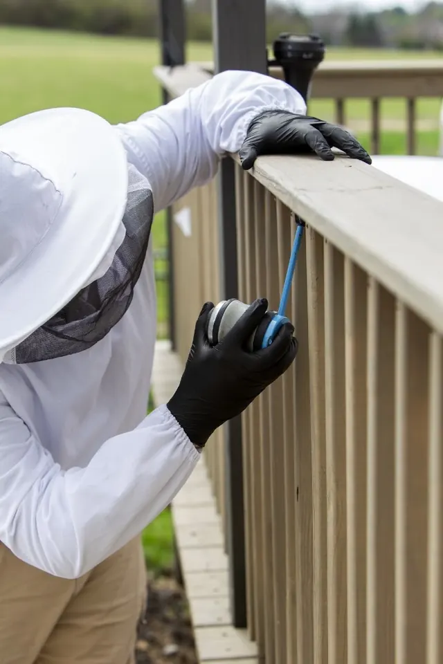 Champion Pest & Termite Control