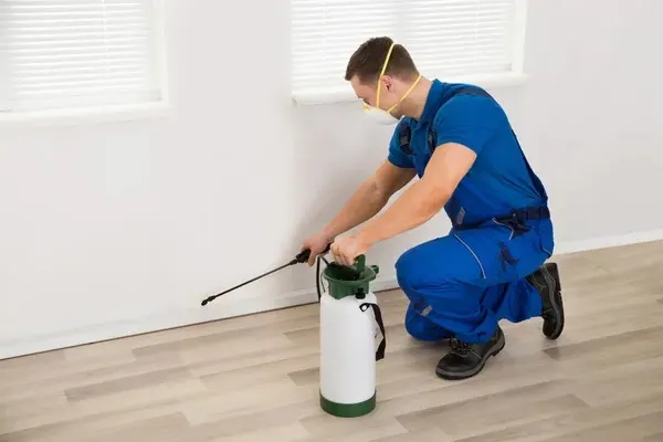 Super Pest Control Solutions Delaware