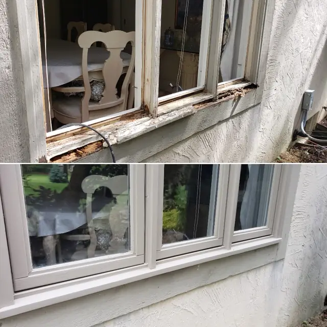 Window Gurus
