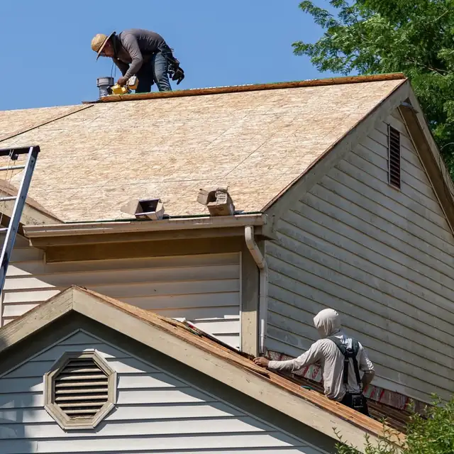 The Roof Detective