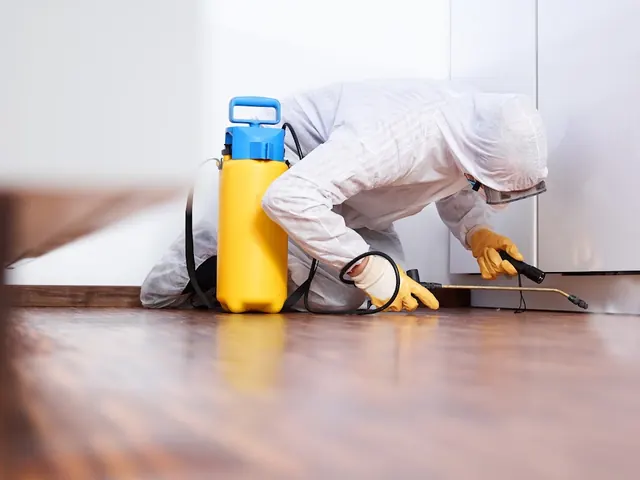 Ohio Exterminating Solutions