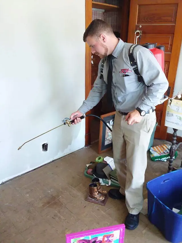 Umbrella Pest Management