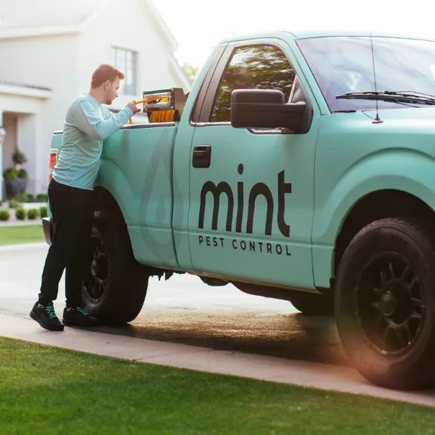 Mint Pest Control