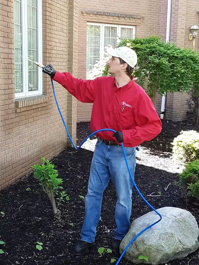 Constant Pest Management