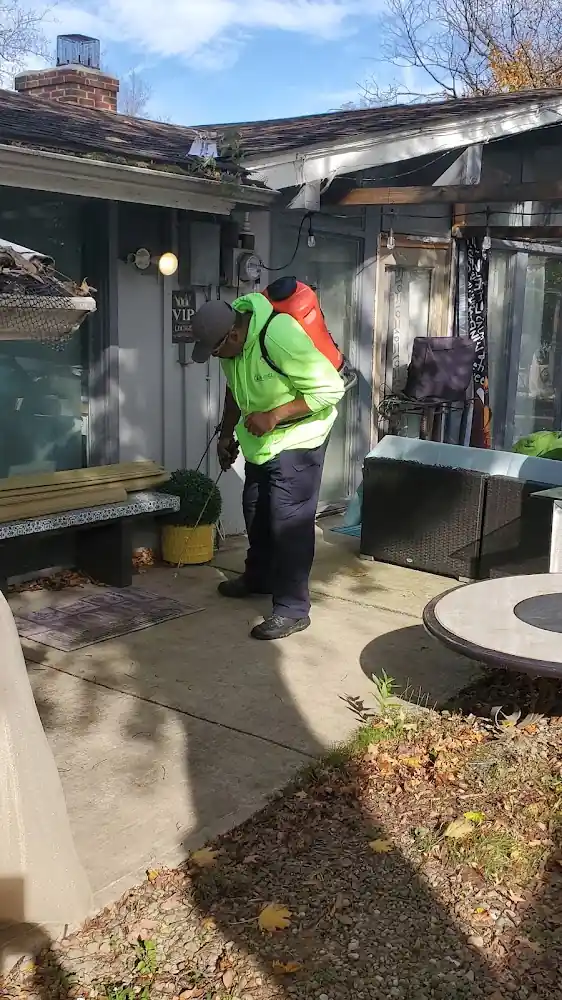 D-Bugz Pest Control LLc