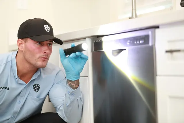 EcoShield Pest Solutions