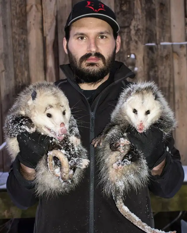 Taylor Wildlife Removal LLC