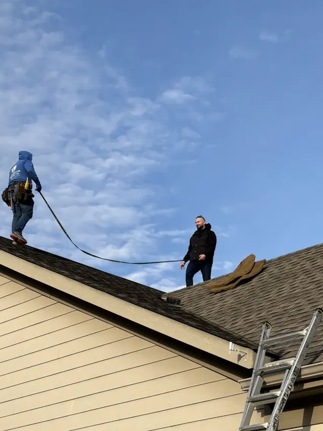 NEAT Roofing
