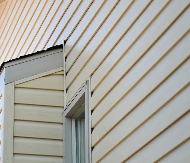 The Siding & Insulation Company
