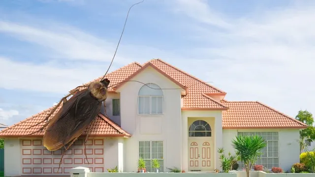 Action Exterminating