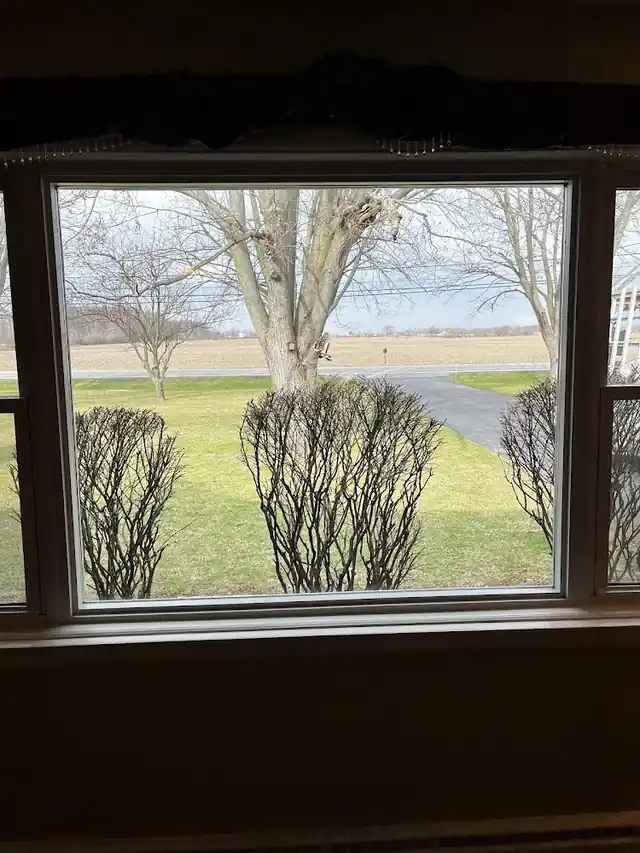 All Service Glass