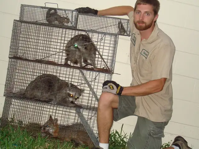 Wildlife Trapper Pro