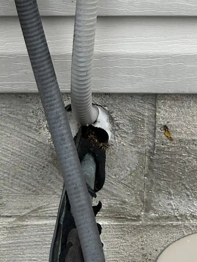 Eco Pest Control