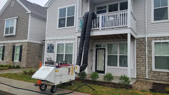 Integrity Pest Solutions