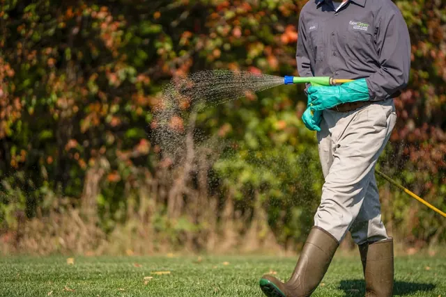 ExperiGreen & Organic Turf