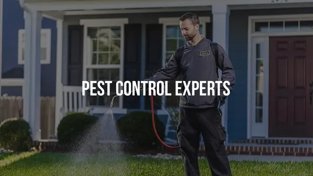 Accel Pest & Termite Control - Powered by Genius