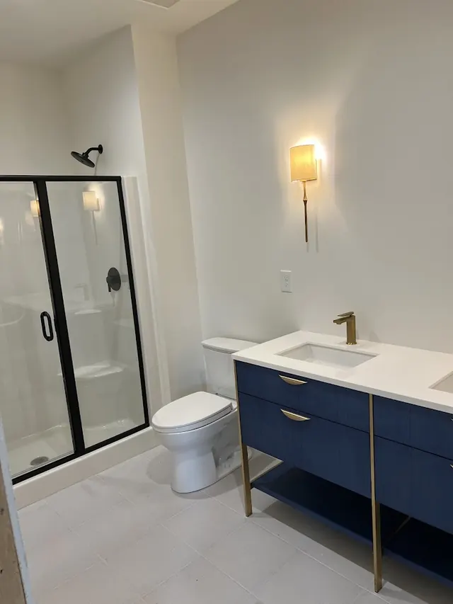 Big Cat Bathrooms
