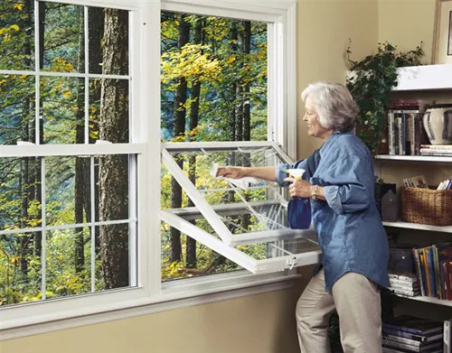 Mentor Window