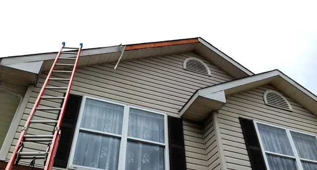 Tiger Exteriors