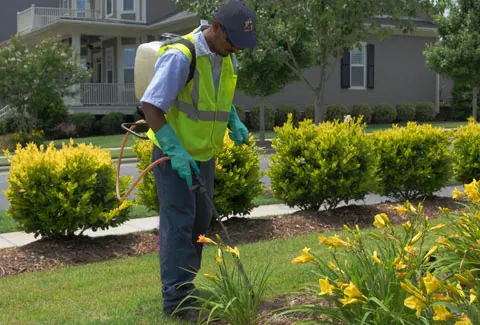 U.S. Lawns - Cleveland East