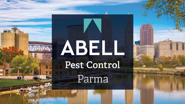 Abell Pest Control