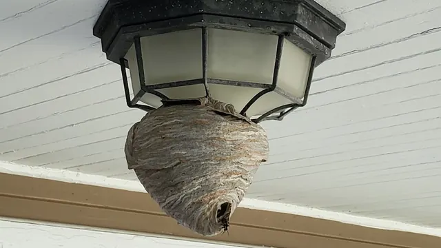 Cleveland Bee Removal