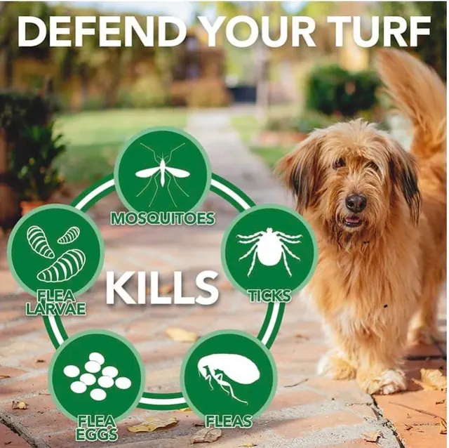 EcoPest Solutions - Pest & Wildlife Management