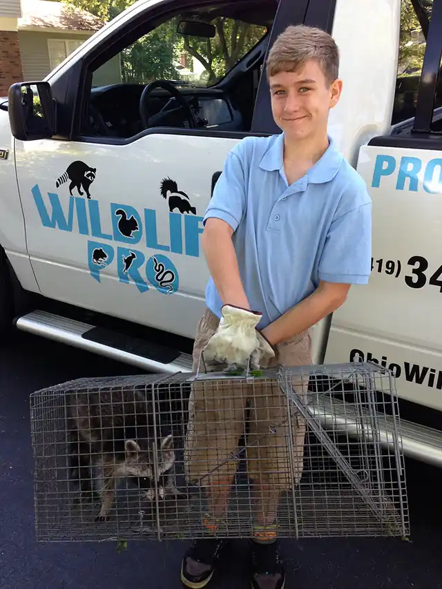 Wildlife Pro