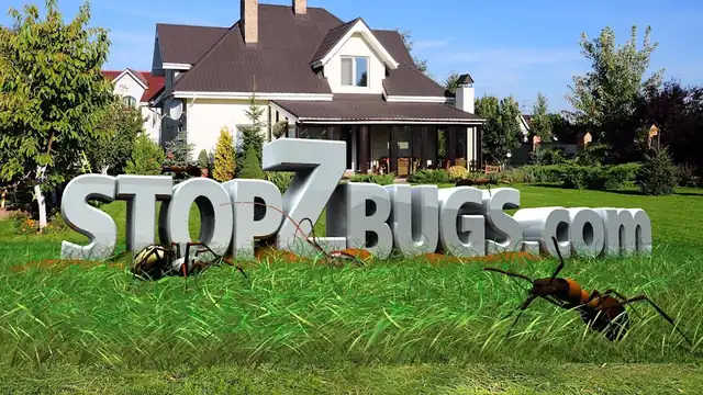 Scherzinger Pest Control