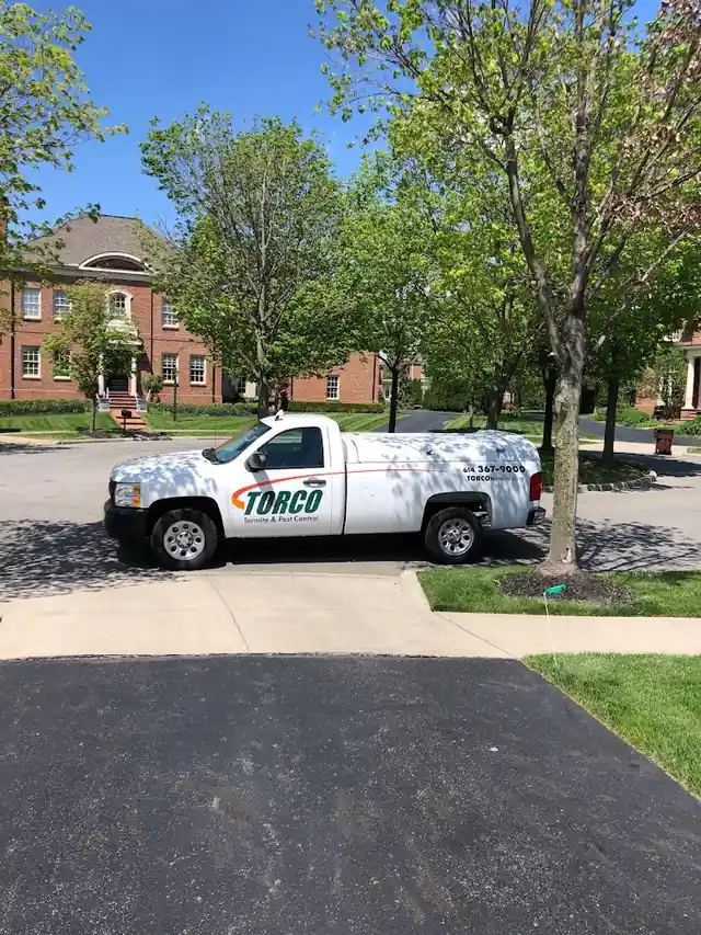 TORCO Termite and Pest Control Company