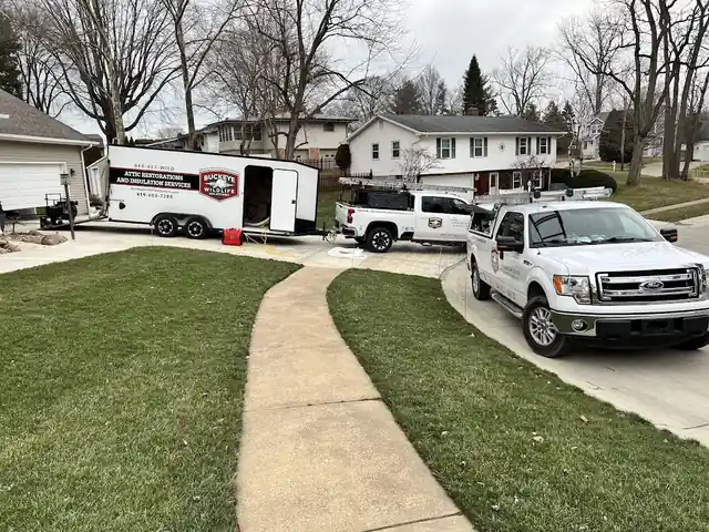 Buckeye Wildlife Solutions NW