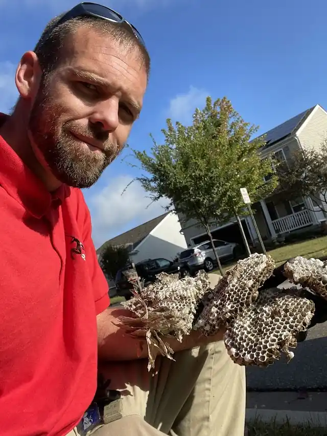 Mantis Pest Services LLC