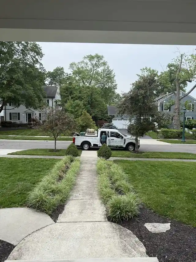 NexGreen Lawn and Tree Care