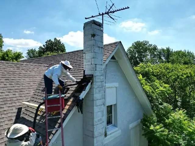 Hivebilt Honey Bee Removal and Construction Services