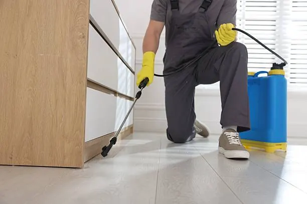 Cheap Flea Pest Salem