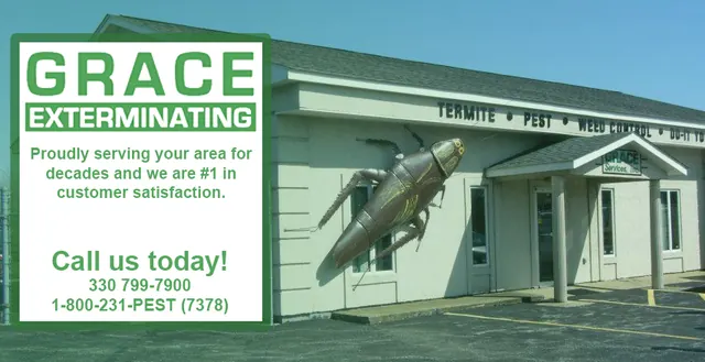 Grace Exterminating