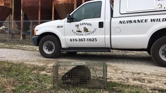 Zanesville Wildlife Catcher